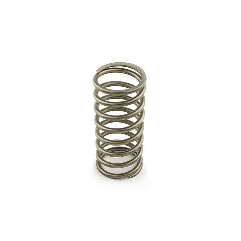 Small Rubber Spring Inline Inline Valve Spring - Access Truck Parts - Canada